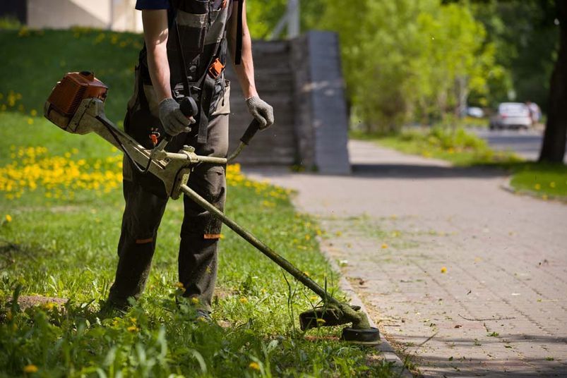 Gartenpflege Pongau